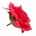 Artificial Rose Heads Simulation Rose Flower Photography Props Backdrop Decor   323397524596